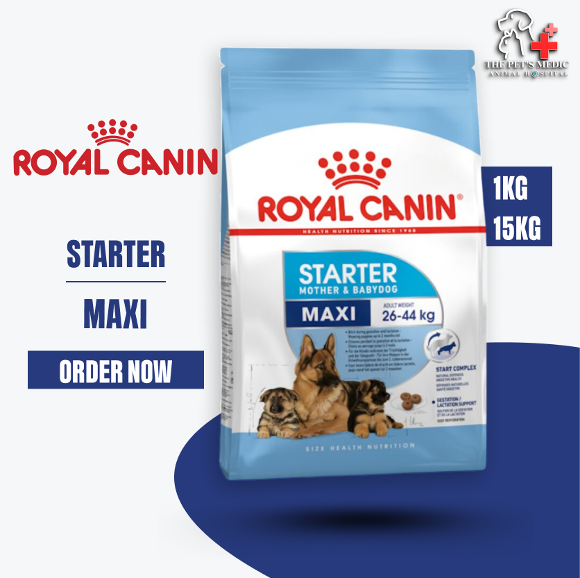 Royal Canin Dog Food- Maxi Starter