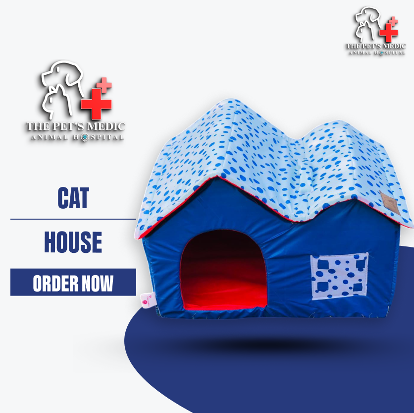 Cats house