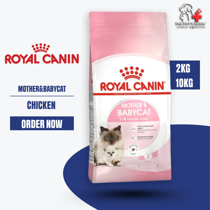 Royal Canin Mother And Baby Cat Food- Chicken Flavor